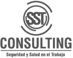 SST CONSULTING
